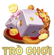 Kinh nghiệm và Chuyên môn